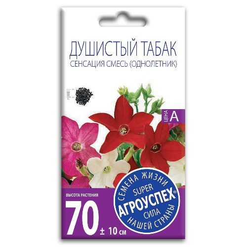 Изображение загружено