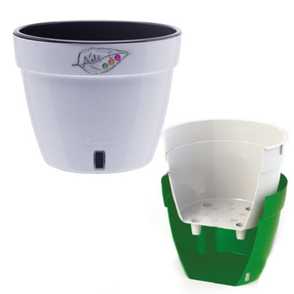 Изображение загружено