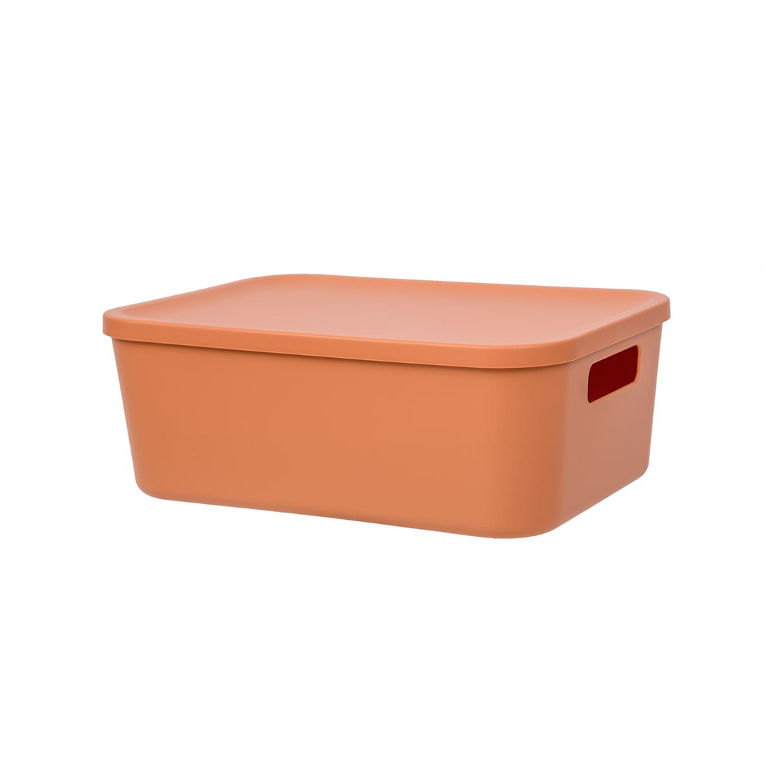 Fancy-hh101-XS Корзина пластиковая для хранения Оптима, Д265 Ш185 В100, оранжевый