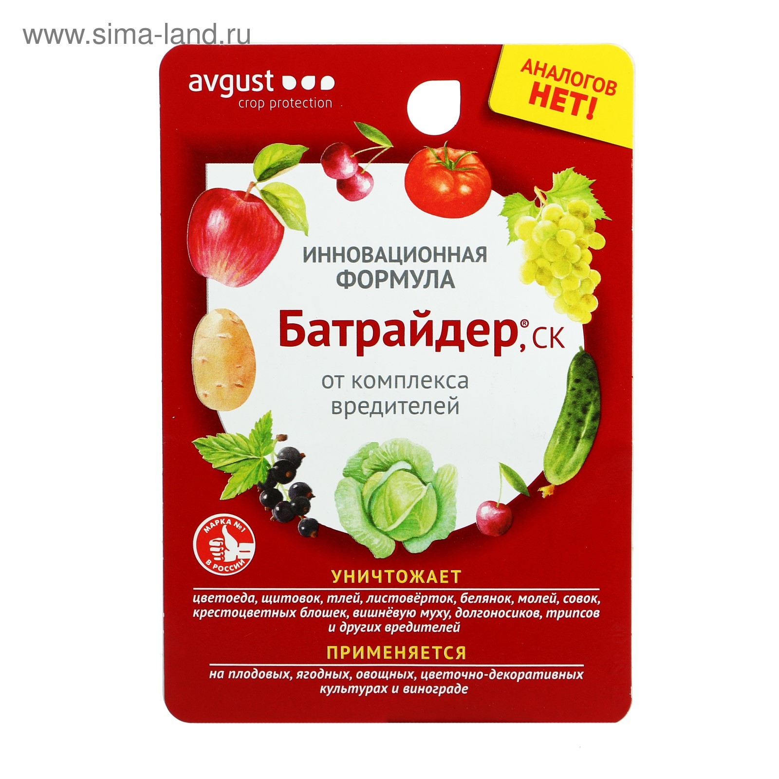 Изображение загружено