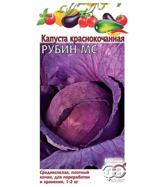 Изображение загружено