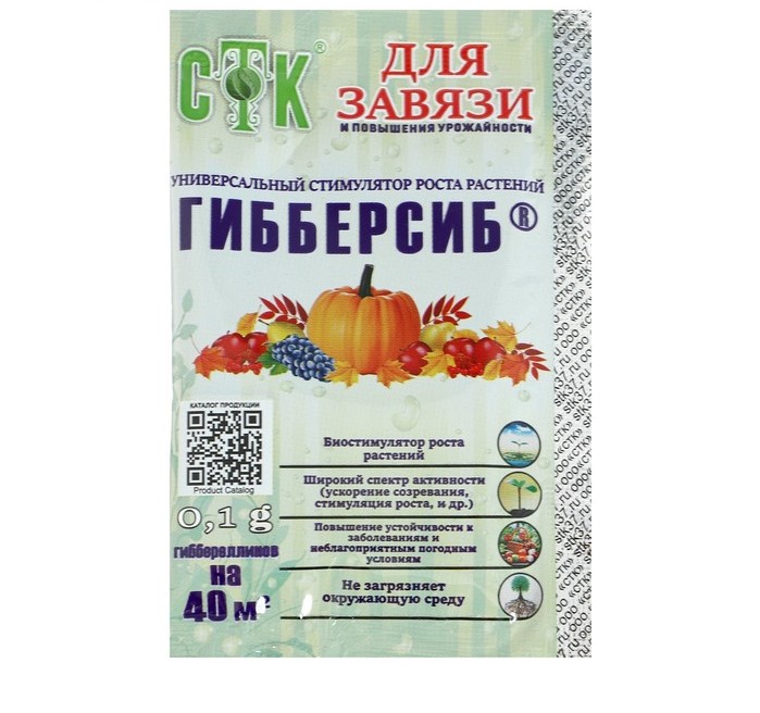 Изображение загружено