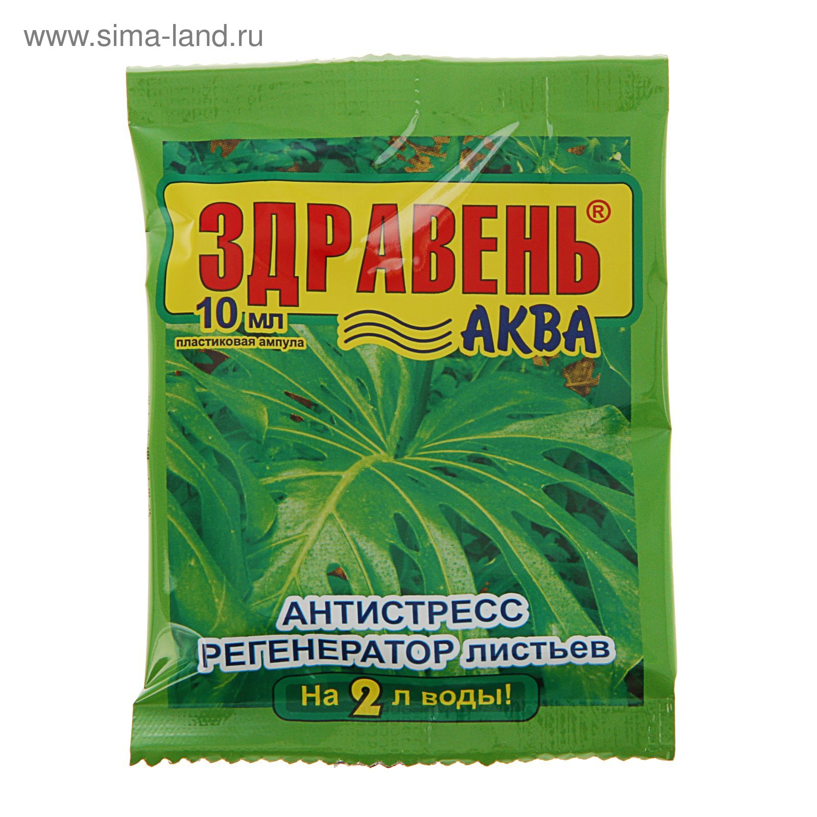 Изображение загружено