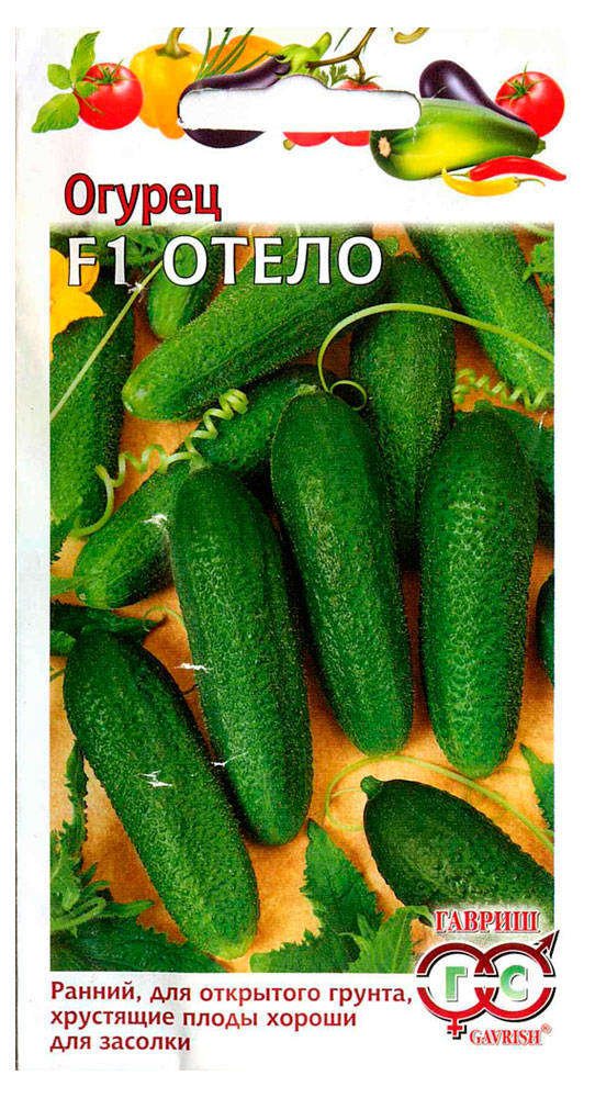 Изображение загружено