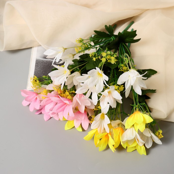 Изображение загружено