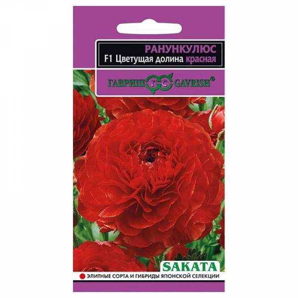 Изображение загружено