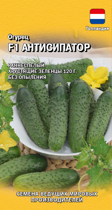 Изображение загружено