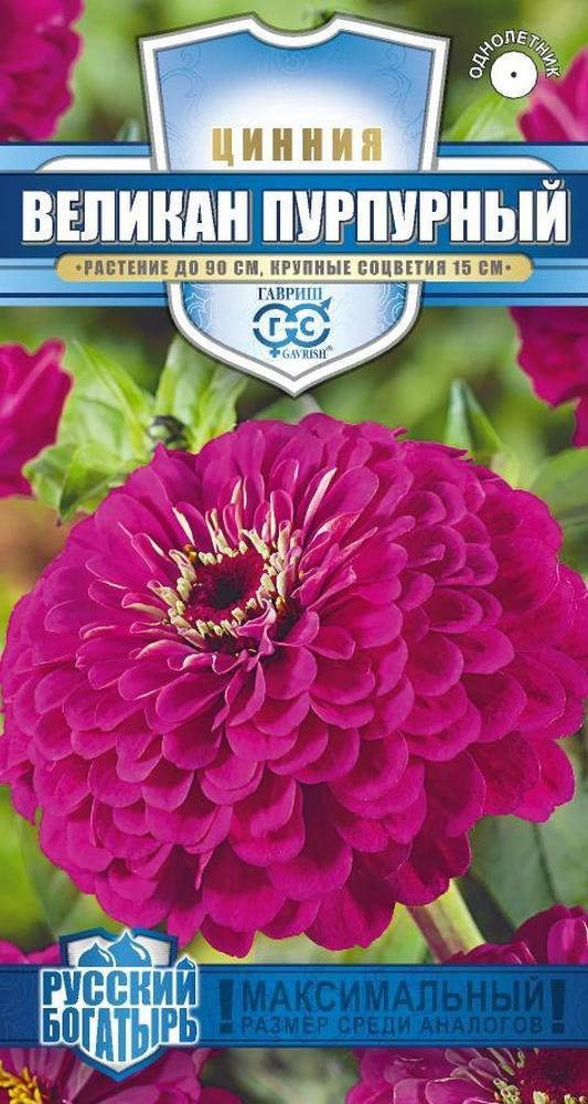 Изображение загружено