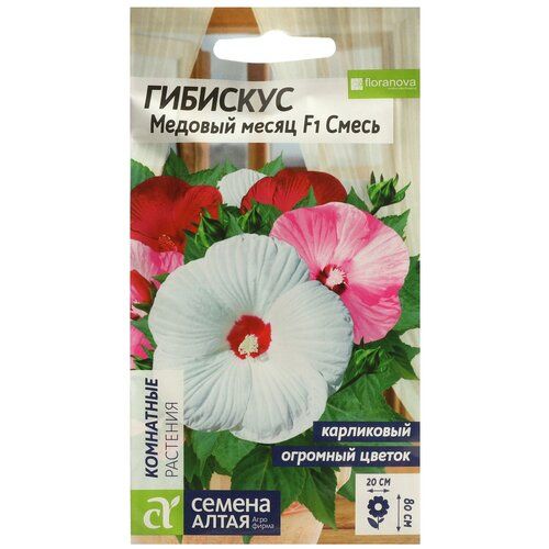 Изображение загружено