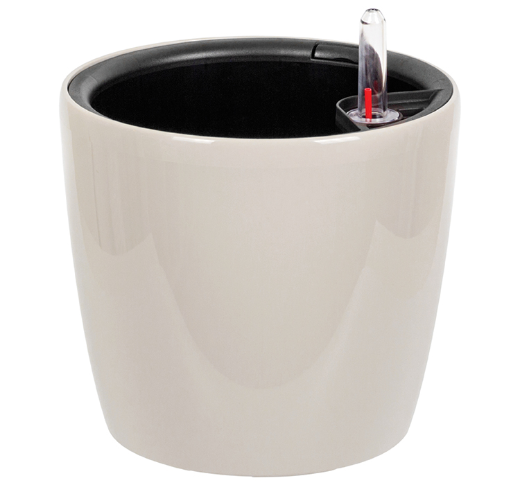 Изображение загружено