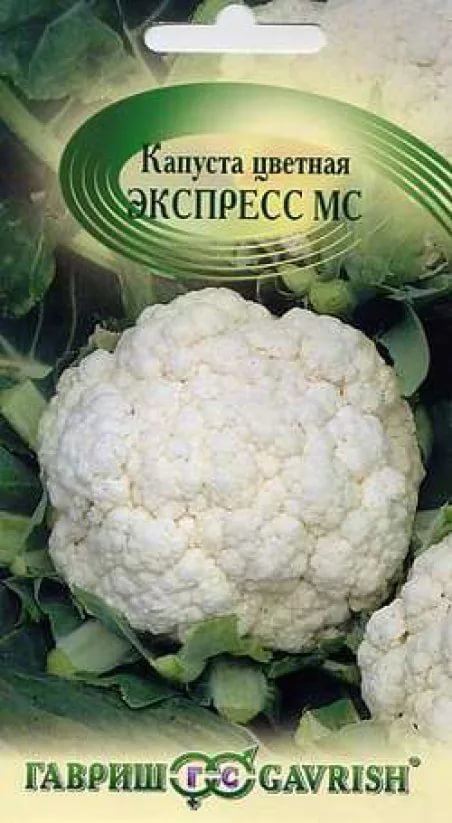 Изображение загружено