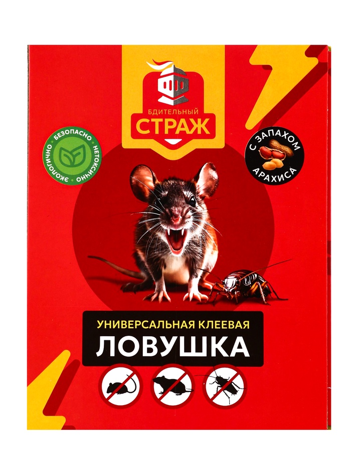 700 - 2026-02-05T113220.741