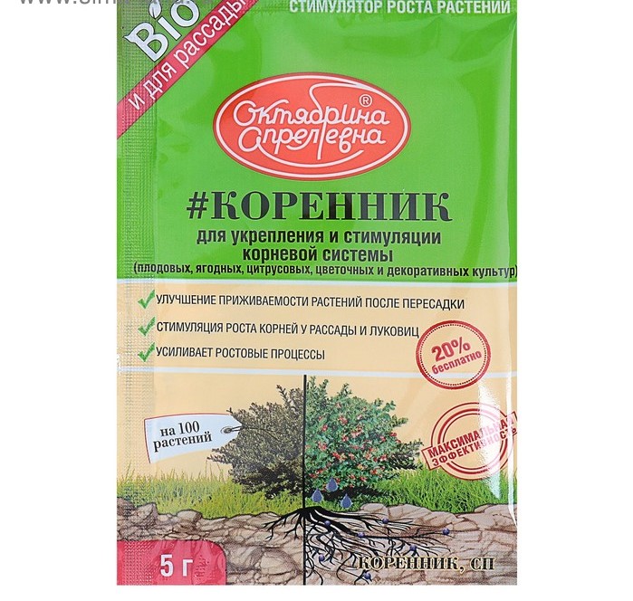 Изображение загружено