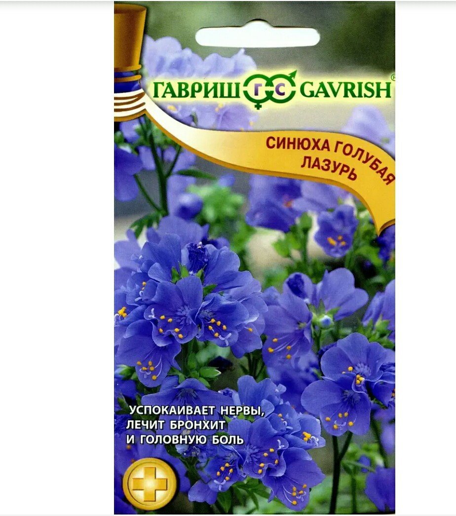 Изображение загружено