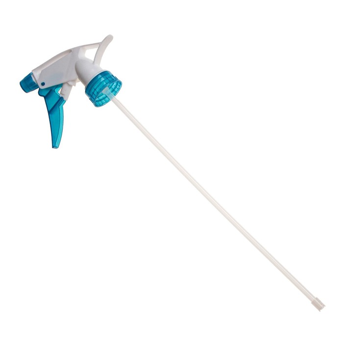 Изображение загружено