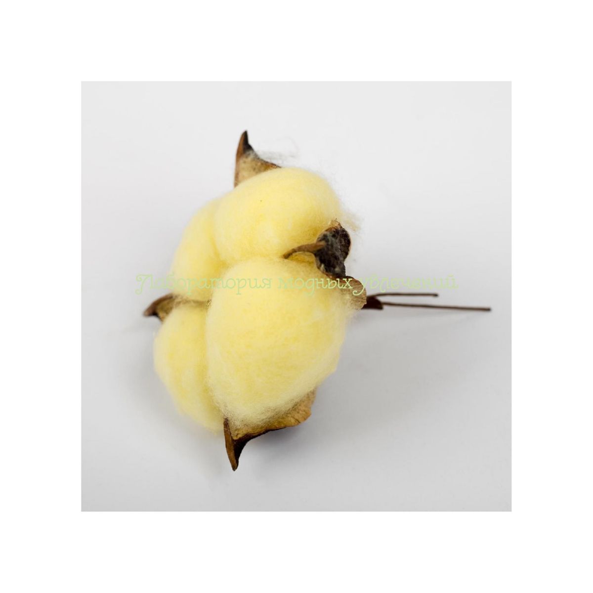 Изображение загружено