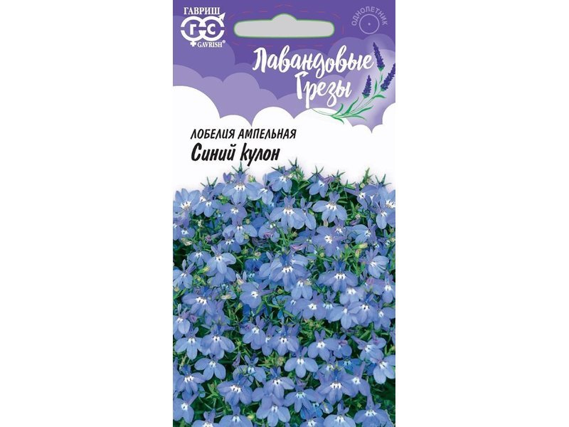 Изображение загружено