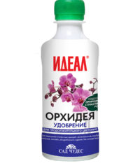 idealorchid025-200x240