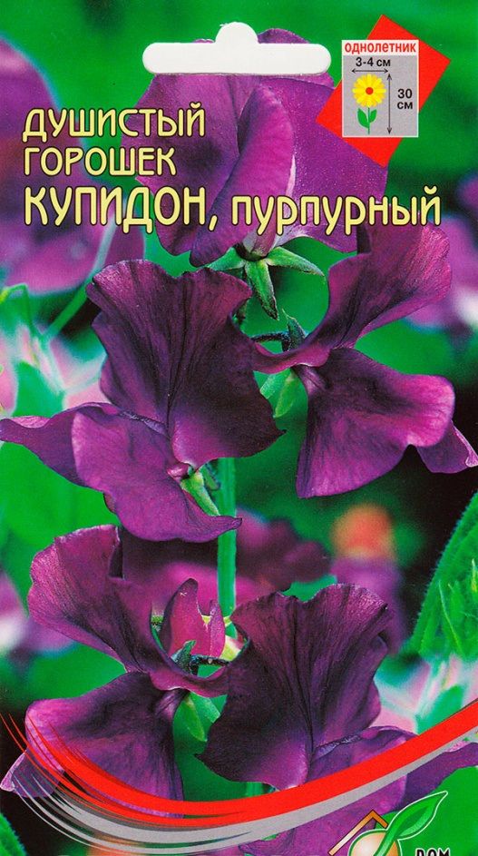 Изображение загружено