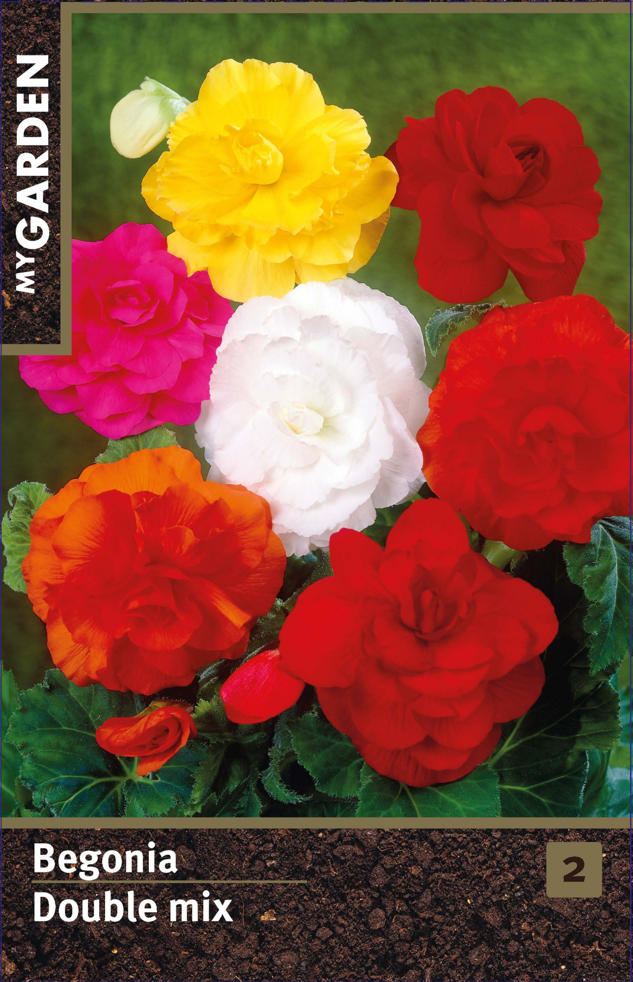 Изображение загружено