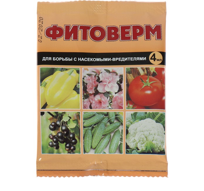 Изображение загружено