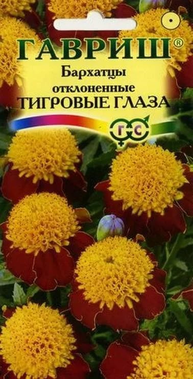 Изображение загружено