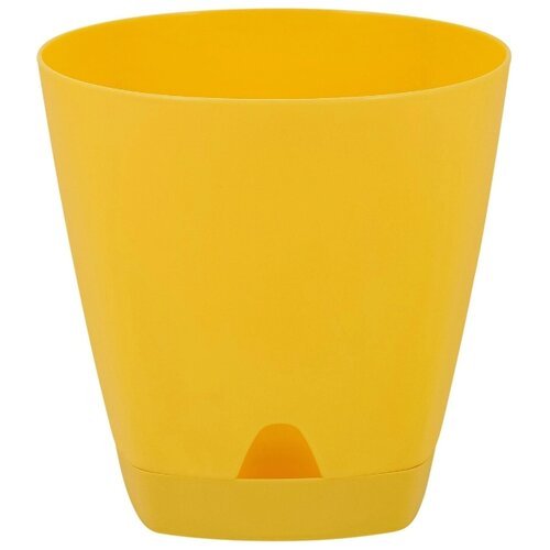 Изображение загружено