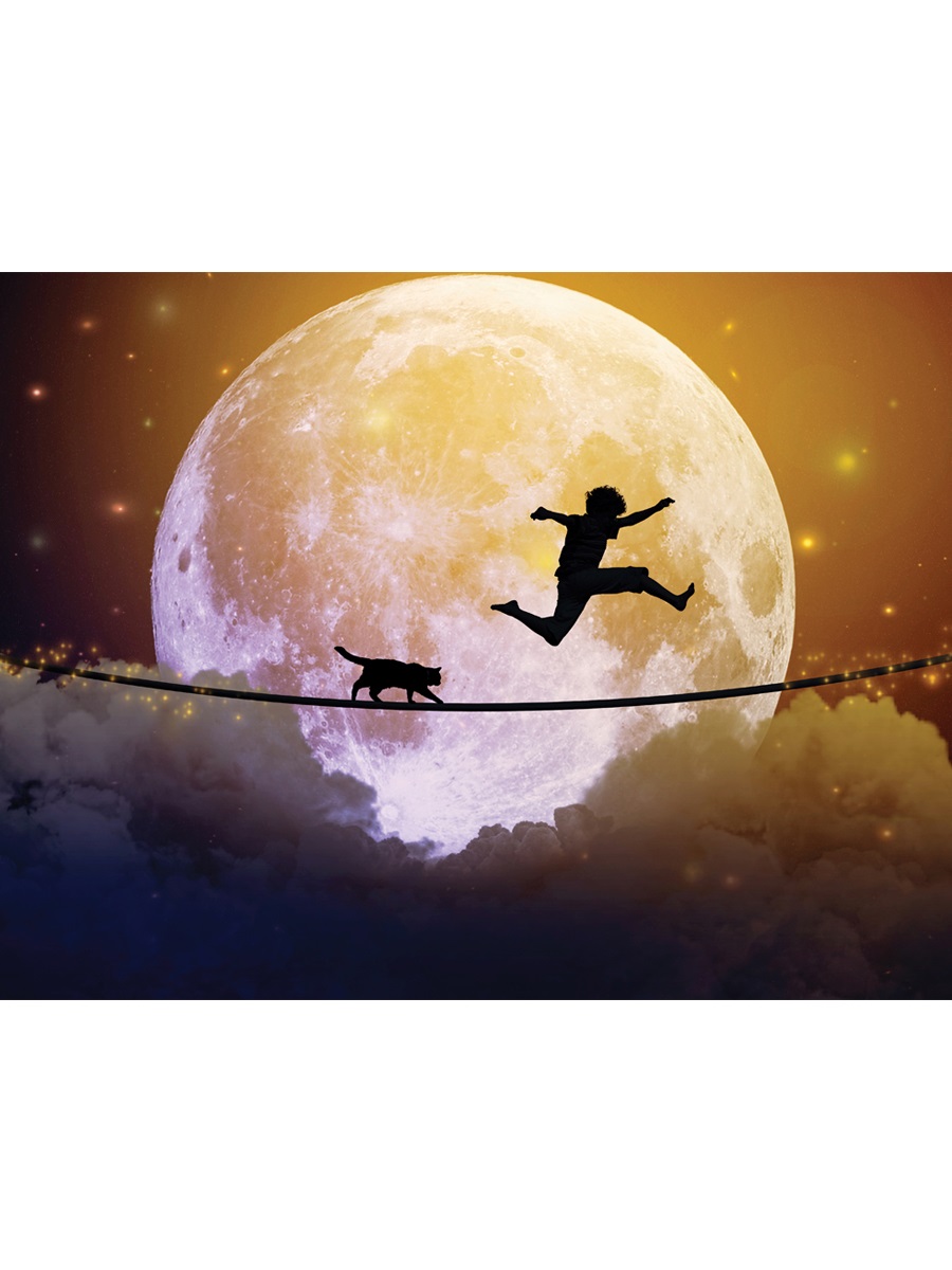 CV 2022 Картина на холсте На фоне луны 30х40см.