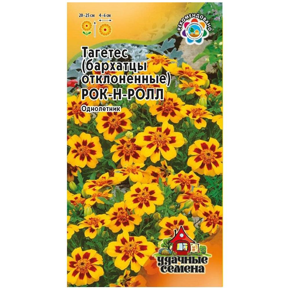 Изображение загружено