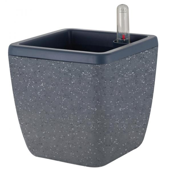 Изображение загружено