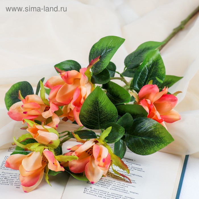 700 - 2025-03-22T113450.672