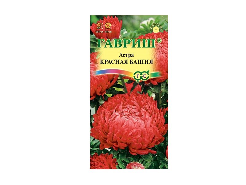 Изображение загружено