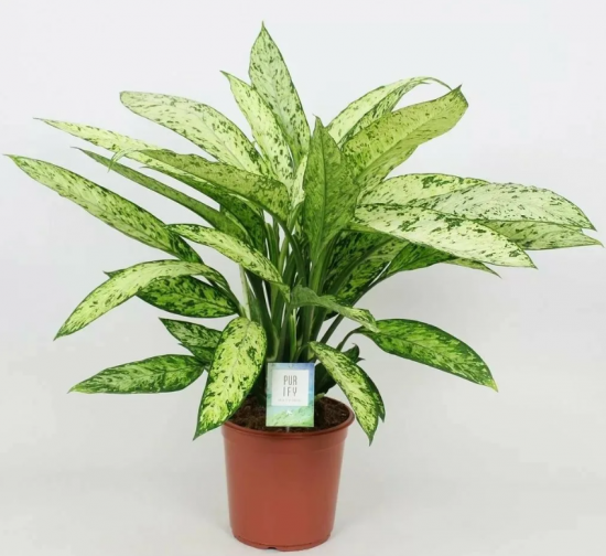 7d4449f85ed33c42bb08cb357133c1a0