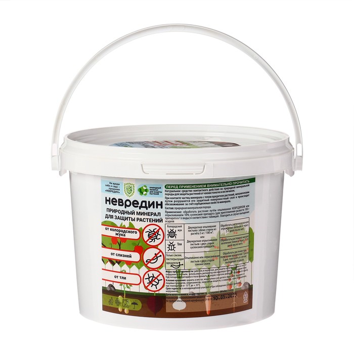 Изображение загружено