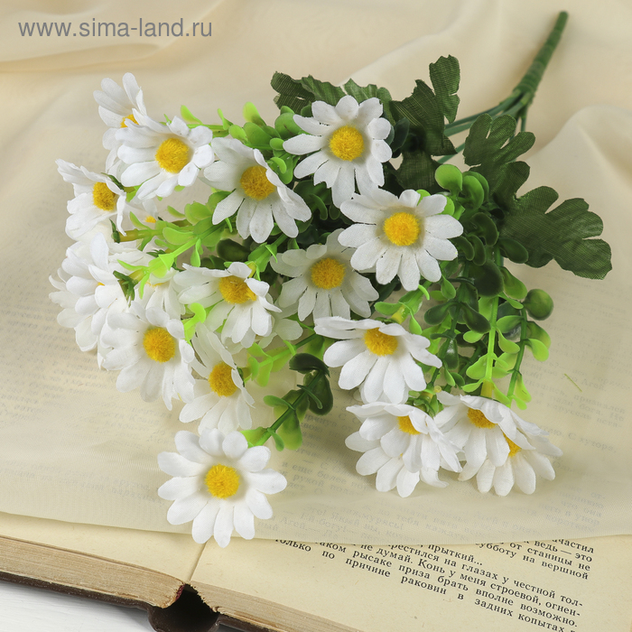 Изображение загружено