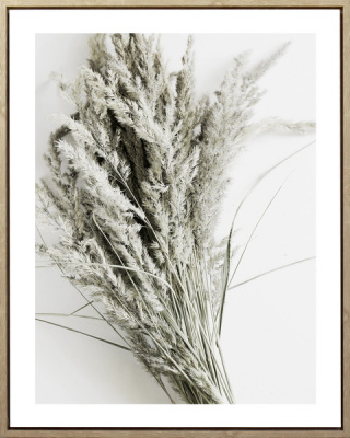 226604XCCF Постер Пампасная трава 40х50х2,5см