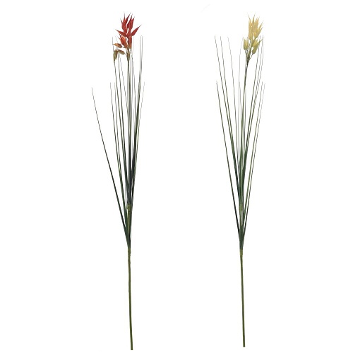 wtssacx8zidaoah4fl6sgk09wdnwro99