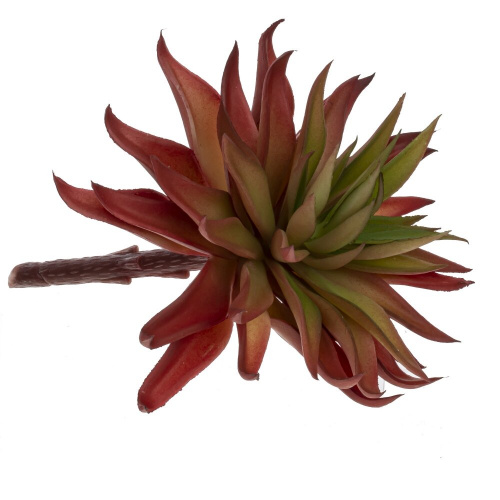 Изображение загружено