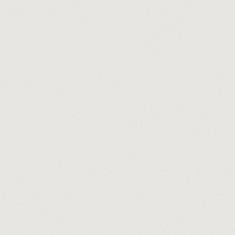 54310-2 Обои флизелиновые Gallinara, фон светло-серый 1,06х10м