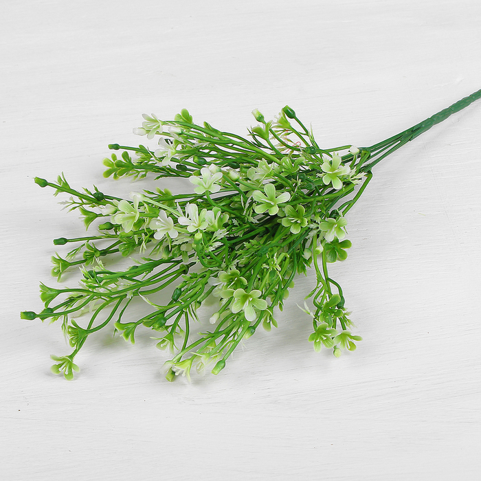 Изображение загружено