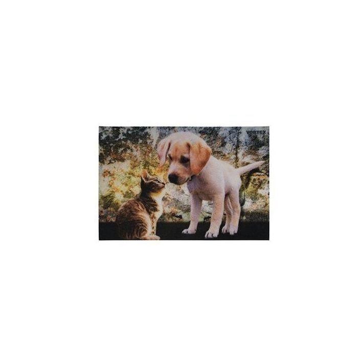 Изображение загружено