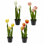 Изображение загружено