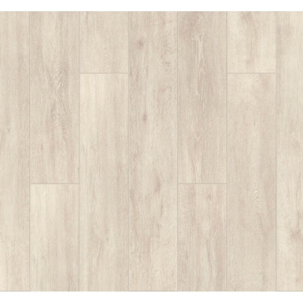 imperatoroctavian504550004-1000x1000