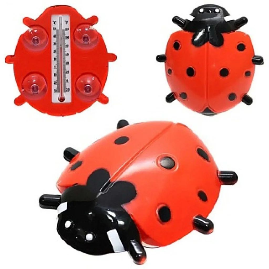 Изображение загружено