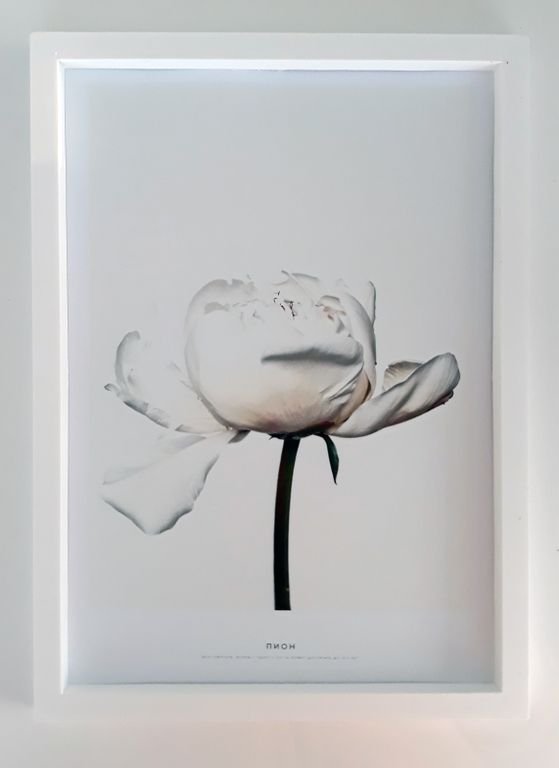 ПР-011 Постер в раме Соло, размер 210х300