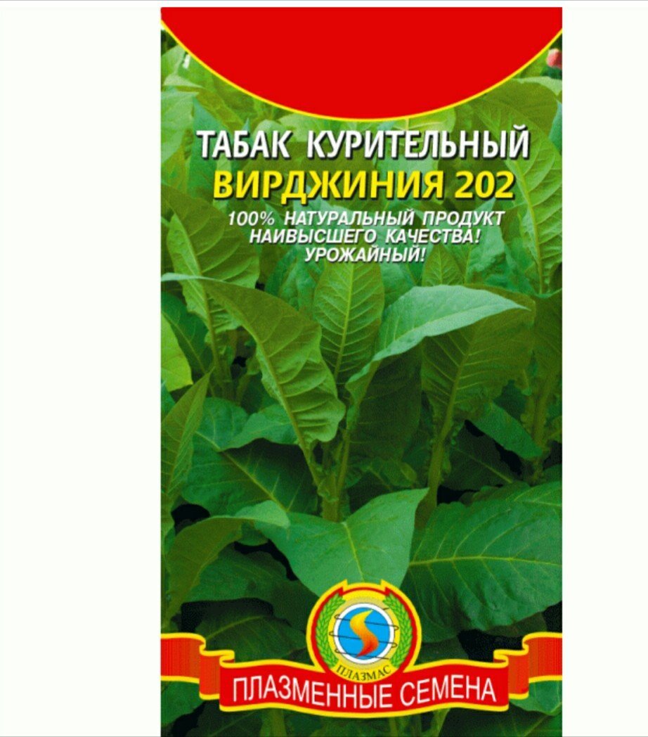 Изображение загружено