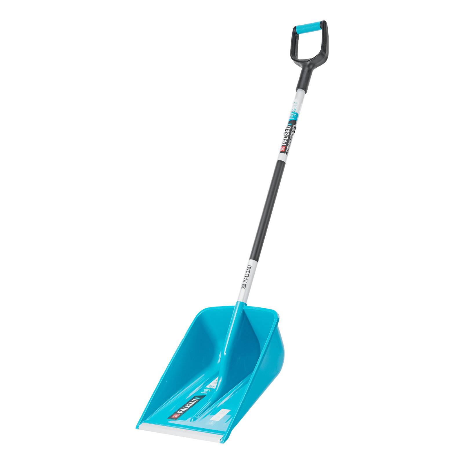 image_0 - 2025-02-07T084833.422