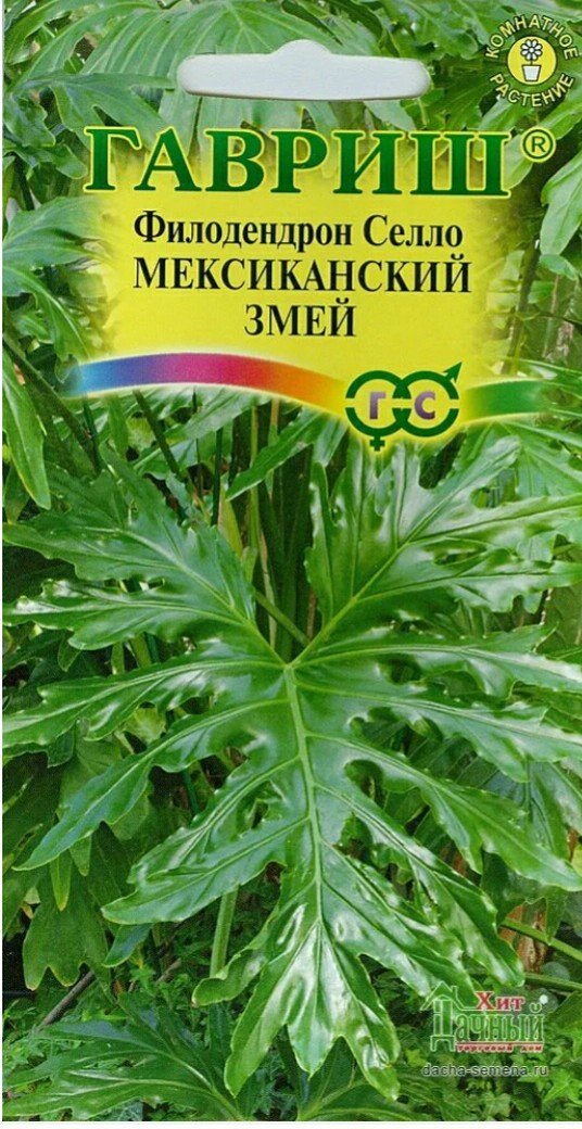 Изображение загружено