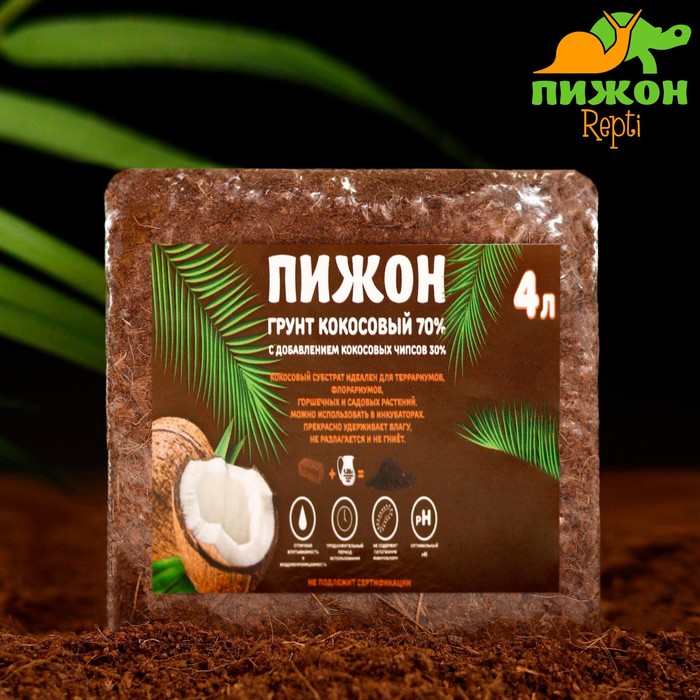 Изображение загружено