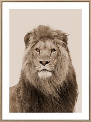 222114XCCY Постер Лев.Царь зверей 45х60х2,5см
